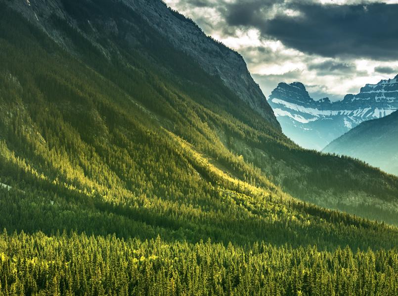 gerflor-conception-duree-de-vie gerflor-conception-duree-de-vie