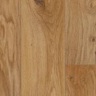 Toronto Miel - scanmobile